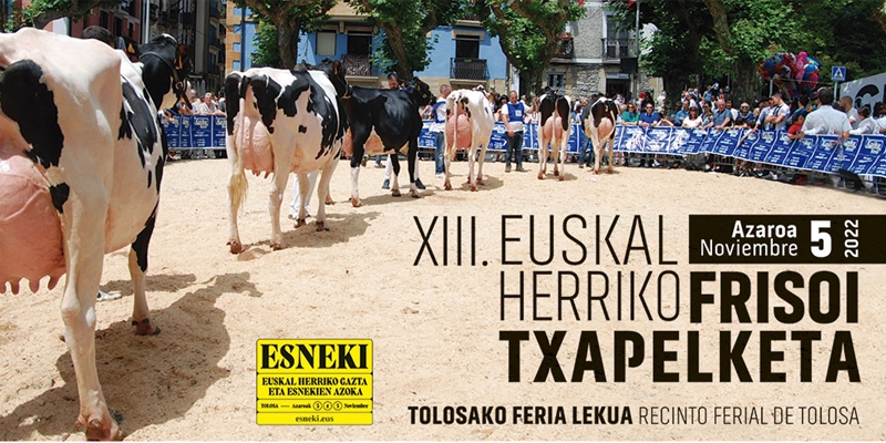 800400c1468EDNmainimg cabecera concurso vasco 2022