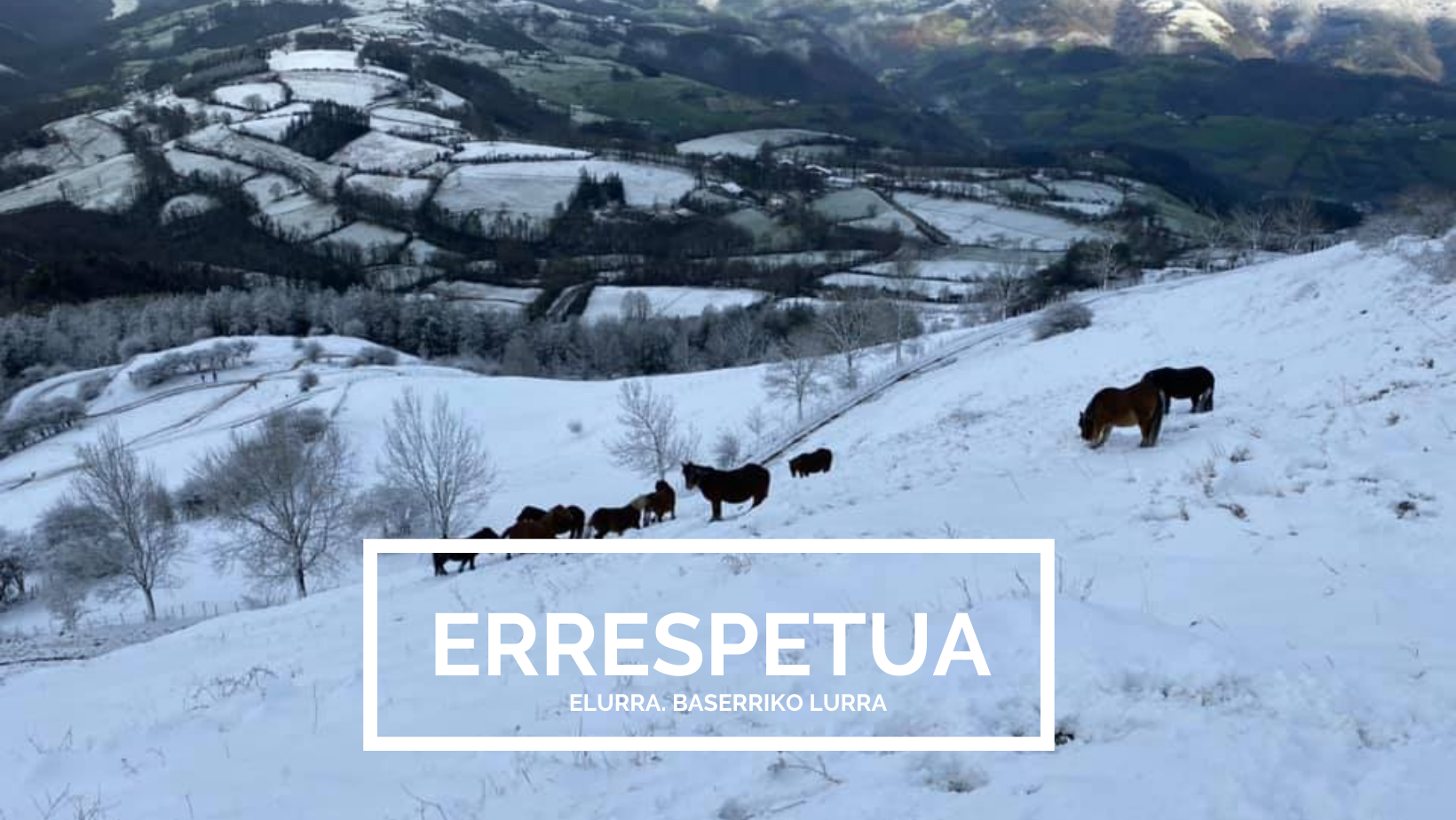 ERRESPETUA