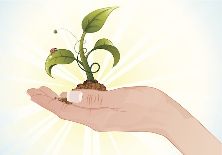 agricultura