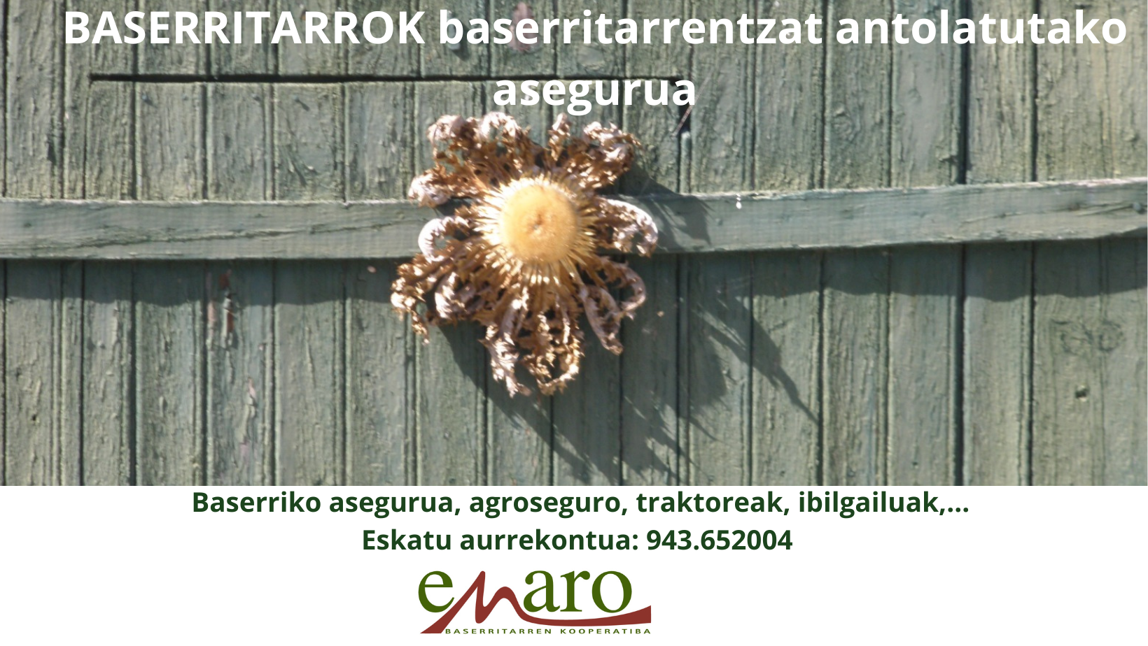 enaro